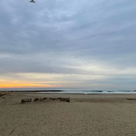 Plages & Marina - Joli T2 A 200m Des Plages